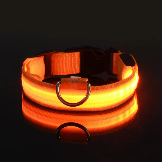 Collier lumineux pour chien en silicone